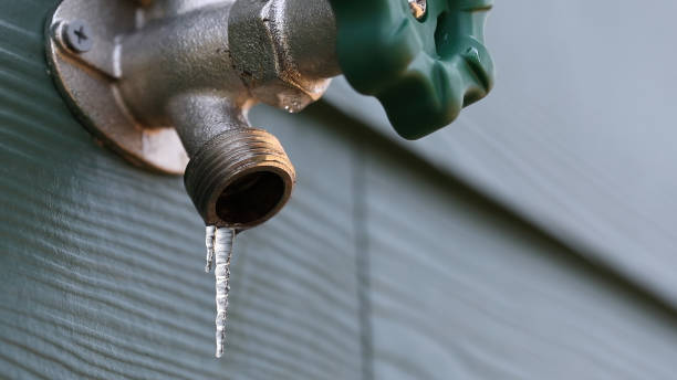 Best Clogged Drain Plumber  in Chenango Bridge, NY